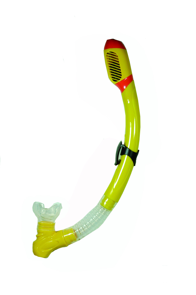 Dry Snorkel with Comfortable Silicone Mouthpiece Best for Beginners