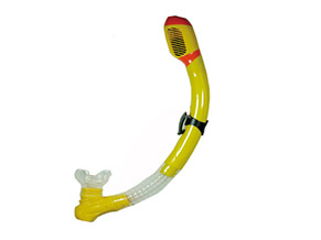 Components of Dry snorkel and their Functions