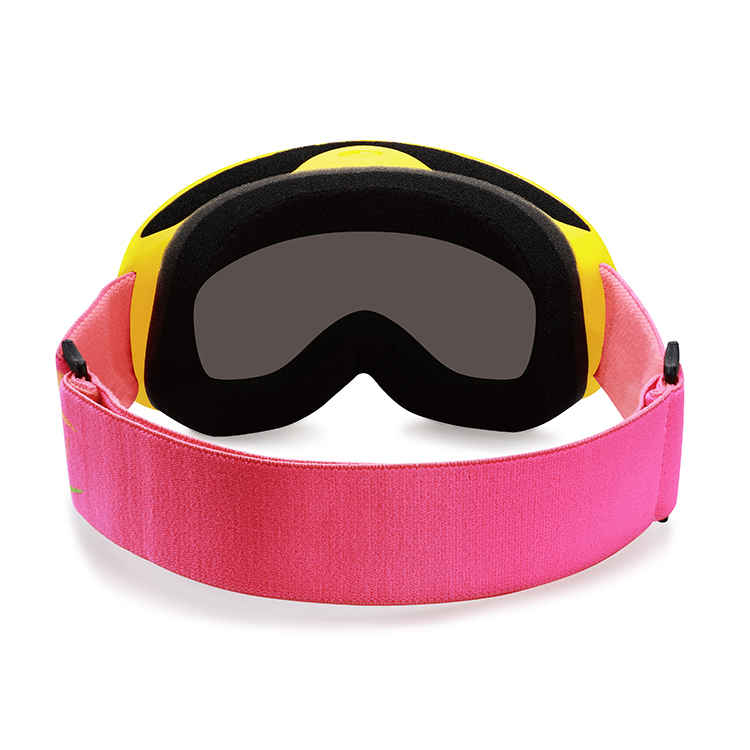 Reanson Customized UV 400 Protection and Anti-fog Smoke color Lens Ski Goggles