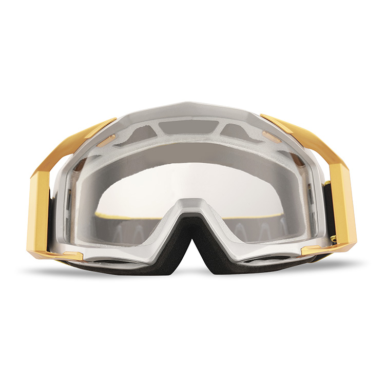 Reanson Custom Riding Racing Anti-UV and Anti- fog Goggles with the Anti-Scratch& Dustproof