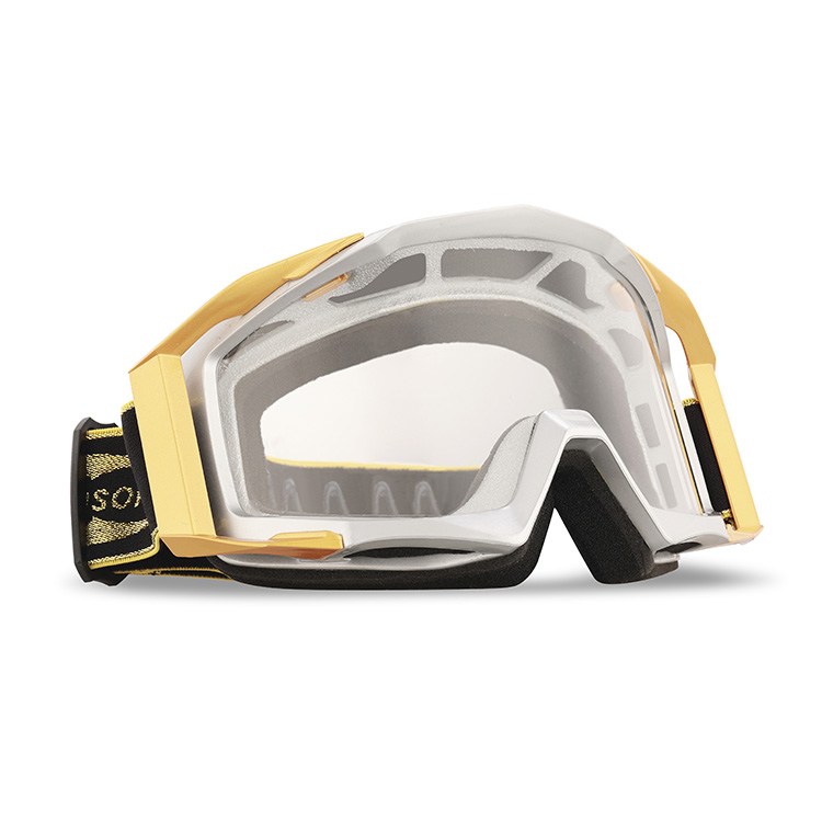 Reanson Custom Riding Racing Anti-UV and Anti- fog Goggles with the Anti-Scratch& Dustproof